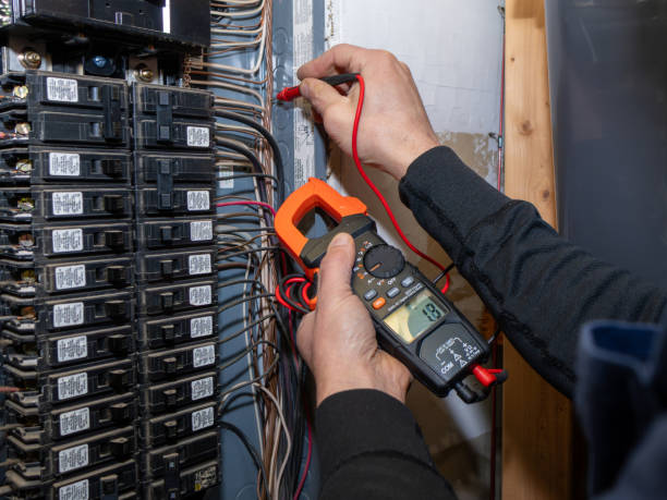 Best Electrical Troubleshooting Services  in Mcnary, AZ